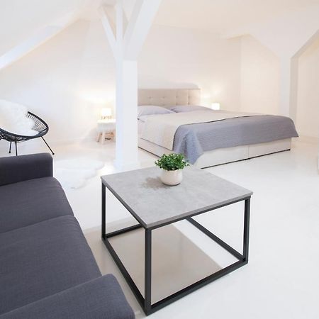 Appartement Apartmán Jungmann U Zlaté hvězdy à Litoměřice Extérieur photo
