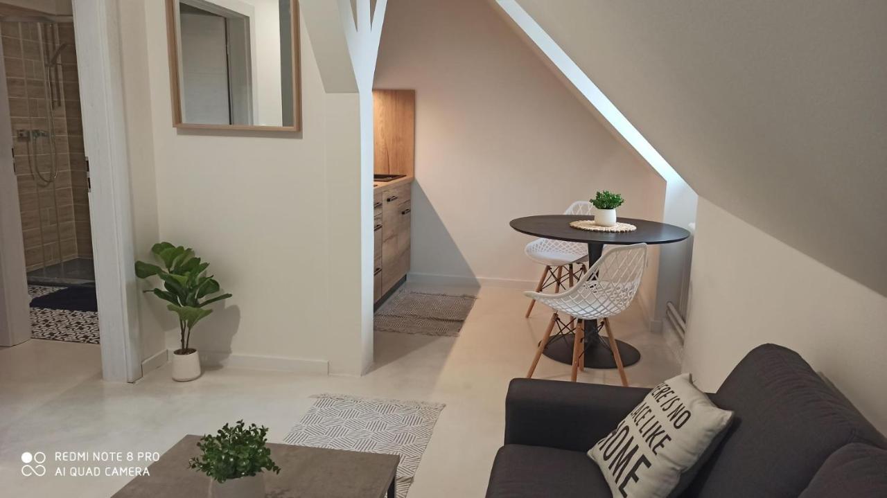 Appartement Apartmán Jungmann U Zlaté hvězdy à Litoměřice Extérieur photo