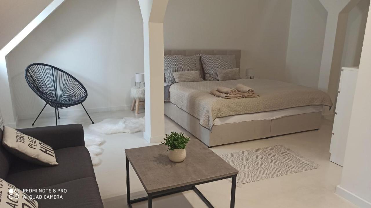 Appartement Apartmán Jungmann U Zlaté hvězdy à Litoměřice Extérieur photo